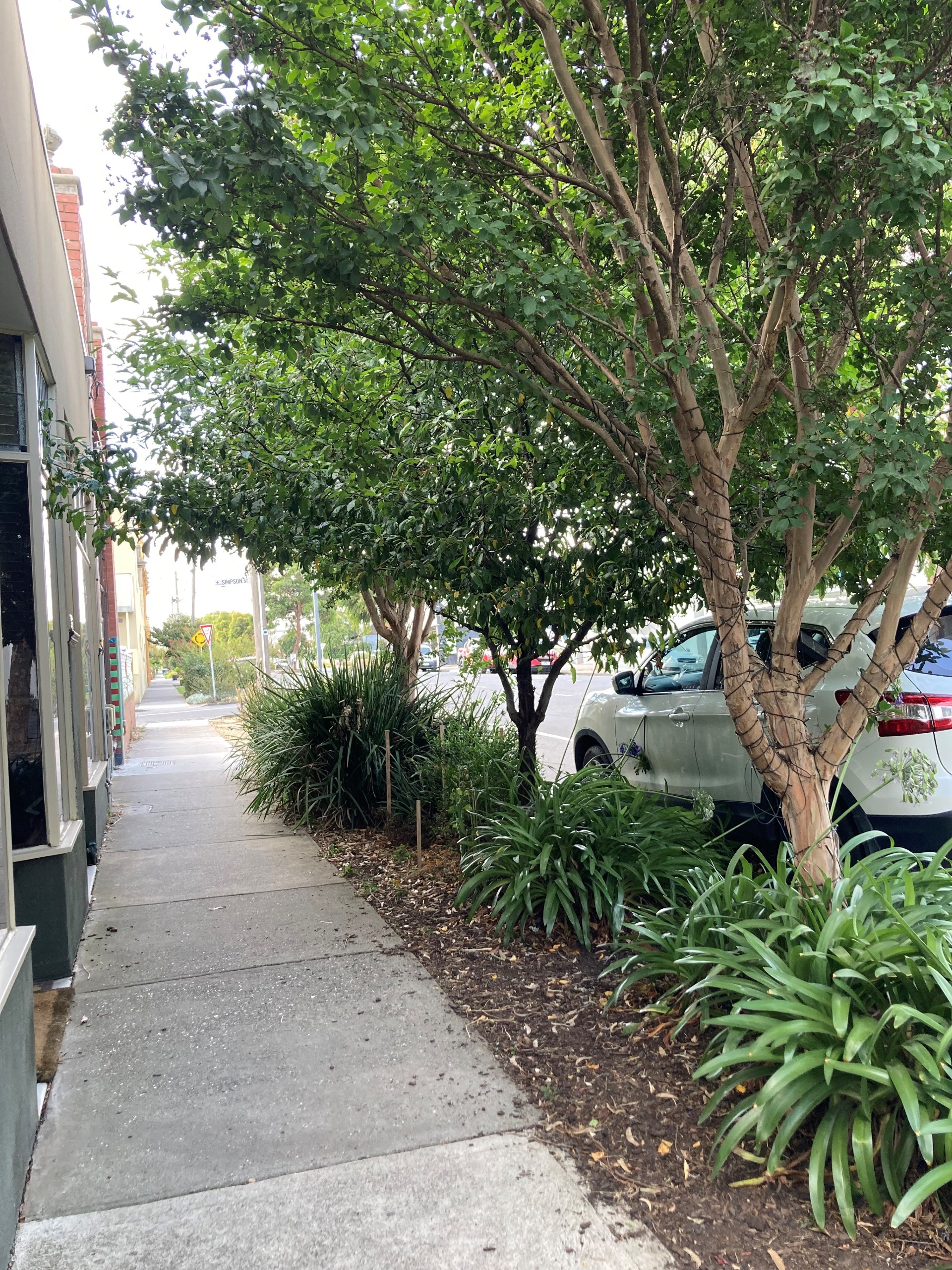 Nature Strip Education and Gardening in Maribyrnong Nature Strip