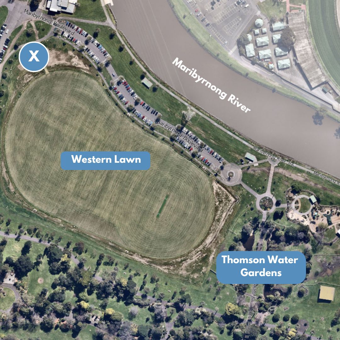 Map showing the spot for the in-person event on Saturday 15 November, 10am-1pm. 