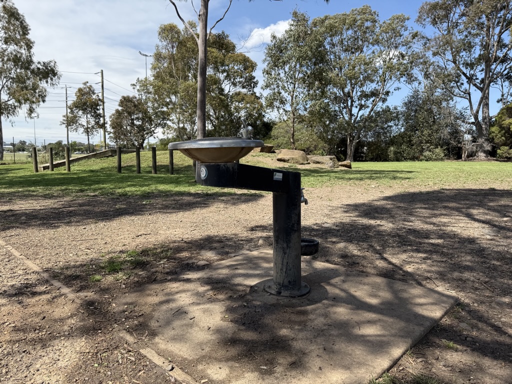A black drinking fountain with a shallow bowl stands on a concrete base in a shaded area of a grassy park.