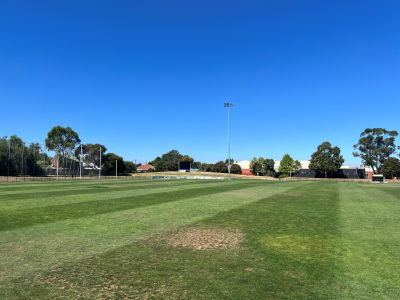 A wide view of Yarraville Oval showing a well‑maintained grass sports field with goal posts, boundary fencing, trees, and nearby buildings under a clear blue sky.