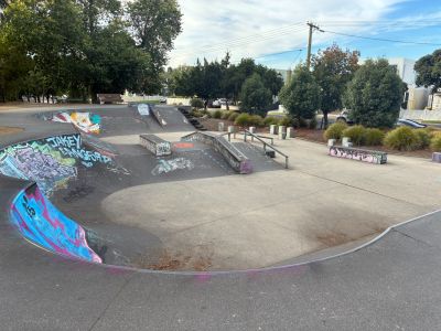 Concrete skate park at Yarraville Oval with bowls, ramps and ledges covered in graffiti, surrounded by trees and open paved areas.